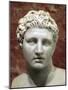 Head of Meleager, 2nd Century-null-Mounted Photographic Print