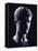 Head of Octavian: the Emperor Augustus-Gjon Mili-Framed Stretched Canvas