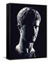 Head of Octavian: the Emperor Augustus-Gjon Mili-Framed Stretched Canvas