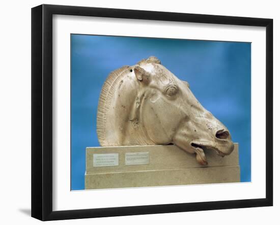 Head of One of the Horses of Selene, Goddess of the Moon, from the East Pediment of the Parthenon-null-Framed Giclee Print