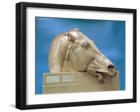 Head of One of the Horses of Selene, Goddess of the Moon, from the East Pediment of the Parthenon-null-Framed Giclee Print