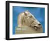 Head of One of the Horses of Selene, Goddess of the Moon, from the East Pediment of the Parthenon-null-Framed Giclee Print