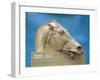 Head of One of the Horses of Selene, Goddess of the Moon, from the East Pediment of the Parthenon-null-Framed Giclee Print