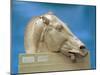 Head of One of the Horses of Selene, Goddess of the Moon, from the East Pediment of the Parthenon-null-Mounted Giclee Print
