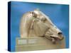 Head of One of the Horses of Selene, Goddess of the Moon, from the East Pediment of the Parthenon-null-Stretched Canvas
