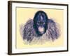 Head of Orang, Illustration from 'The Royal Natural History', Published 1896-English-Framed Giclee Print