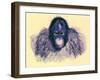 Head of Orang, Illustration from 'The Royal Natural History', Published 1896-English-Framed Giclee Print