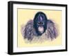Head of Orang, Illustration from 'The Royal Natural History', Published 1896-English-Framed Giclee Print