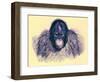 Head of Orang, Illustration from 'The Royal Natural History', Published 1896-English-Framed Giclee Print