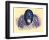 Head of Orang, Illustration from 'The Royal Natural History', Published 1896-English-Framed Giclee Print