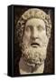 Head of Philoctetes, 2nd Century-null-Framed Stretched Canvas