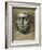 Head of Pope Leo X-Giulio Romano-Framed Giclee Print