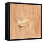 Head of Proserpine-Dante Gabriel Rossetti-Framed Stretched Canvas