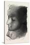 Head of Queen Nefertari, from Aboo Limbel, Egypt, 1879-null-Stretched Canvas