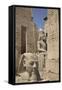 Head of Ramses Ii in Foreground and Colosssus of Ramses Ii Behind-Richard Maschmeyer-Framed Stretched Canvas