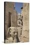 Head of Ramses Ii in Foreground and Colosssus of Ramses Ii Behind-Richard Maschmeyer-Stretched Canvas