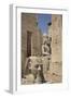 Head of Ramses Ii in Foreground and Colosssus of Ramses Ii Behind-Richard Maschmeyer-Framed Photographic Print