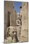 Head of Ramses Ii in Foreground and Colosssus of Ramses Ii Behind-Richard Maschmeyer-Mounted Photographic Print