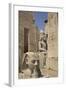 Head of Ramses Ii in Foreground and Colosssus of Ramses Ii Behind-Richard Maschmeyer-Framed Photographic Print