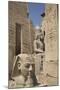 Head of Ramses Ii in Foreground and Colosssus of Ramses Ii Behind-Richard Maschmeyer-Mounted Photographic Print