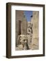 Head of Ramses Ii in Foreground and Colosssus of Ramses Ii Behind-Richard Maschmeyer-Framed Photographic Print