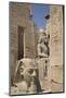 Head of Ramses Ii in Foreground and Colosssus of Ramses Ii Behind-Richard Maschmeyer-Mounted Photographic Print