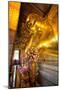 Head of Reclining Buddha, Wat Pho, Bangkok, Thailand, Southeast Asia, Asia-Lee Frost-Mounted Photographic Print