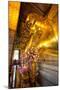 Head of Reclining Buddha, Wat Pho, Bangkok, Thailand, Southeast Asia, Asia-Lee Frost-Mounted Photographic Print