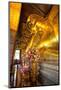 Head of Reclining Buddha, Wat Pho, Bangkok, Thailand, Southeast Asia, Asia-Lee Frost-Mounted Photographic Print