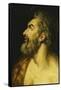 Head of Saint John the Baptist-Floris Frans-Framed Stretched Canvas