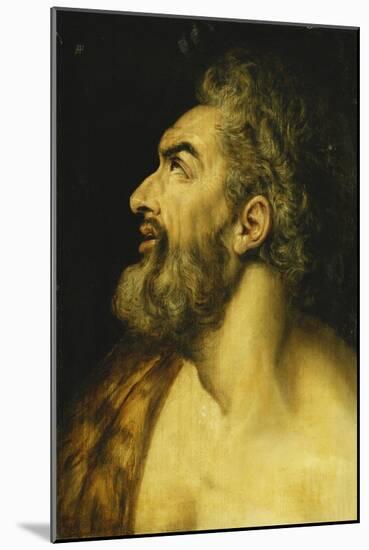 Head of Saint John the Baptist-Floris Frans-Mounted Giclee Print
