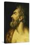 Head of Saint John the Baptist-Floris Frans-Stretched Canvas