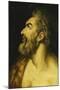 Head of Saint John the Baptist-Floris Frans-Mounted Premium Giclee Print