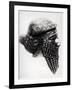 Head of Sargon I 2400-2200 BC-Mesopotamian-Framed Giclee Print