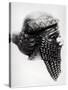 Head of Sargon I 2400-2200 BC-Mesopotamian-Stretched Canvas