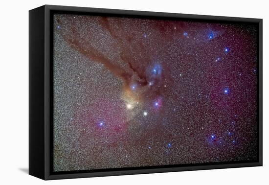 Head of Scorpius with Celestial Deep Sky Objects-null-Framed Stretched Canvas