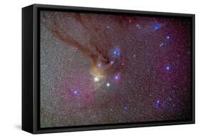 Head of Scorpius with Celestial Deep Sky Objects-null-Framed Stretched Canvas