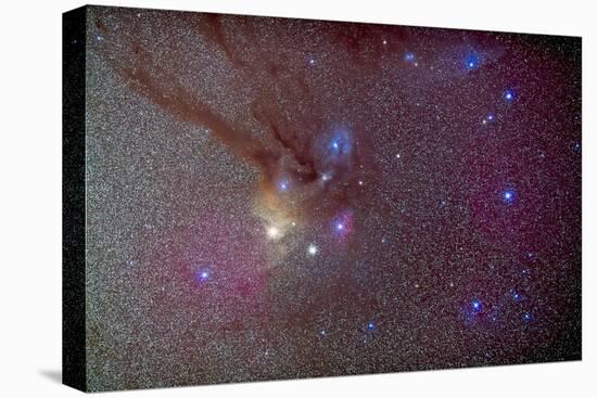 Head of Scorpius with Celestial Deep Sky Objects-null-Stretched Canvas