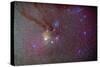 Head of Scorpius with Celestial Deep Sky Objects-null-Stretched Canvas