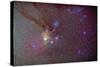 Head of Scorpius with Celestial Deep Sky Objects-null-Stretched Canvas