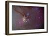 Head of Scorpius with Celestial Deep Sky Objects-null-Framed Photographic Print