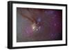 Head of Scorpius with Celestial Deep Sky Objects-null-Framed Photographic Print