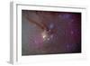 Head of Scorpius with Celestial Deep Sky Objects-null-Framed Photographic Print