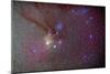 Head of Scorpius with Celestial Deep Sky Objects-null-Mounted Photographic Print