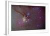 Head of Scorpius with Celestial Deep Sky Objects-null-Framed Photographic Print