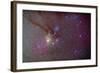 Head of Scorpius with Celestial Deep Sky Objects-null-Framed Photographic Print