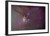 Head of Scorpius with Celestial Deep Sky Objects-null-Framed Photographic Print