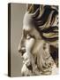 Head of St John the Baptist, Version B 1320-1321-Tino Di Caimano-Stretched Canvas