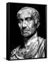 Head of Statue of Julius Caesar, Roman General and Statesman-null-Framed Stretched Canvas