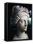 Head of Statue of Minerva-null-Framed Stretched Canvas